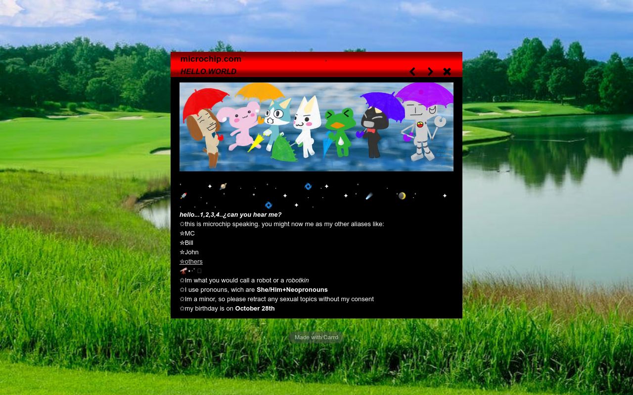Carrd profile picture for @microchips
